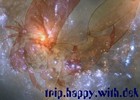 thwd_s.jpg